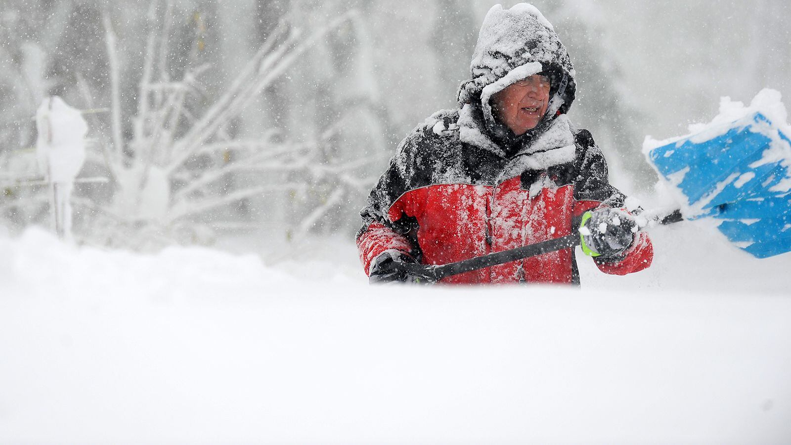 Browns vs Bills game moved to Detroit Lions' stadium due to snow storm -  Dawgs By Nature