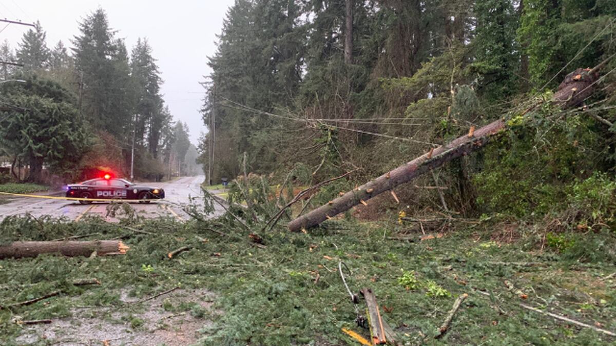 Strong Winds Bring Down Trees, Power Lines Across Western Washington