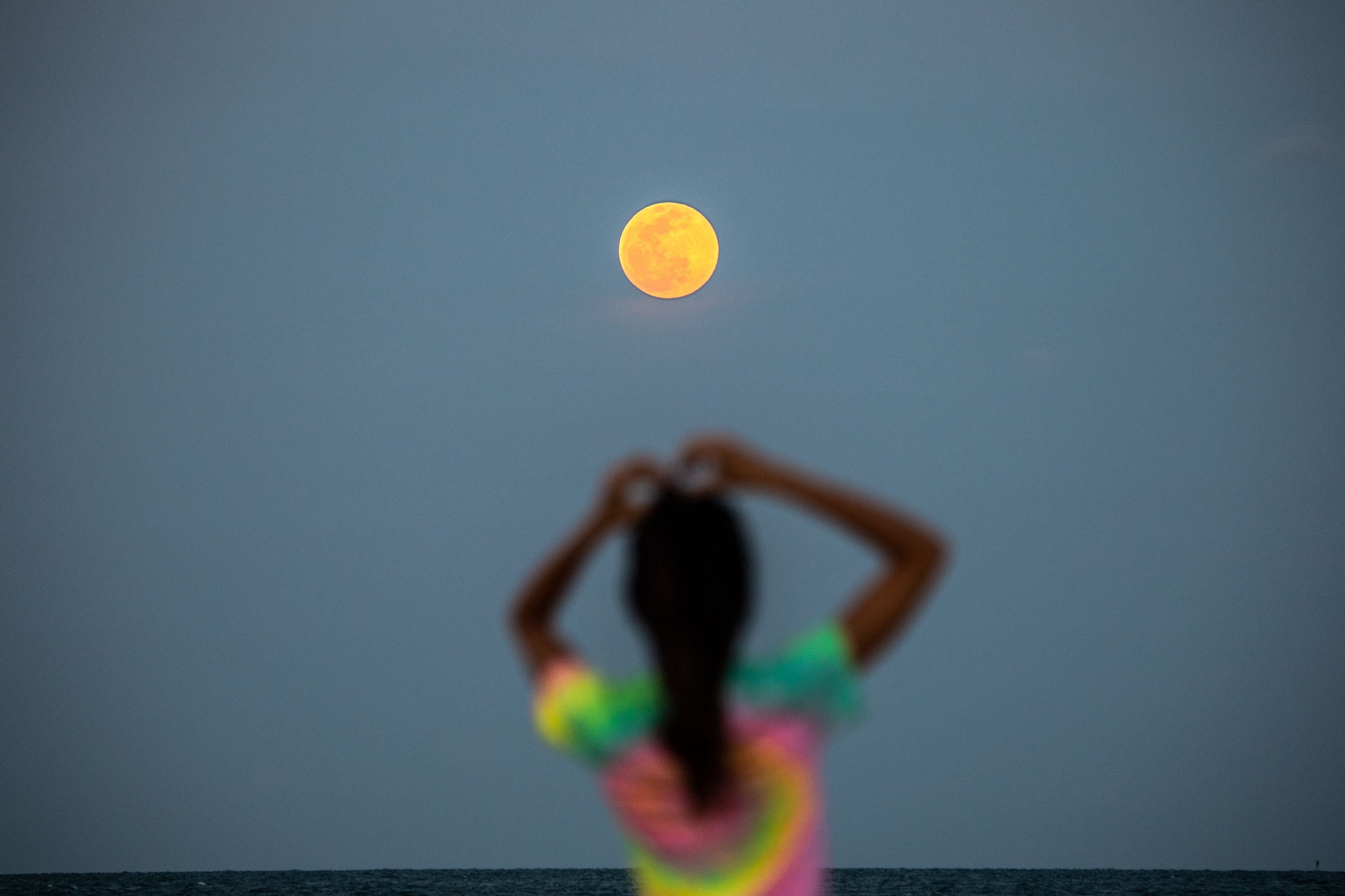1,300+ Full Pink Moon Stock Photos, Pictures & Royalty-Free Images - iStock