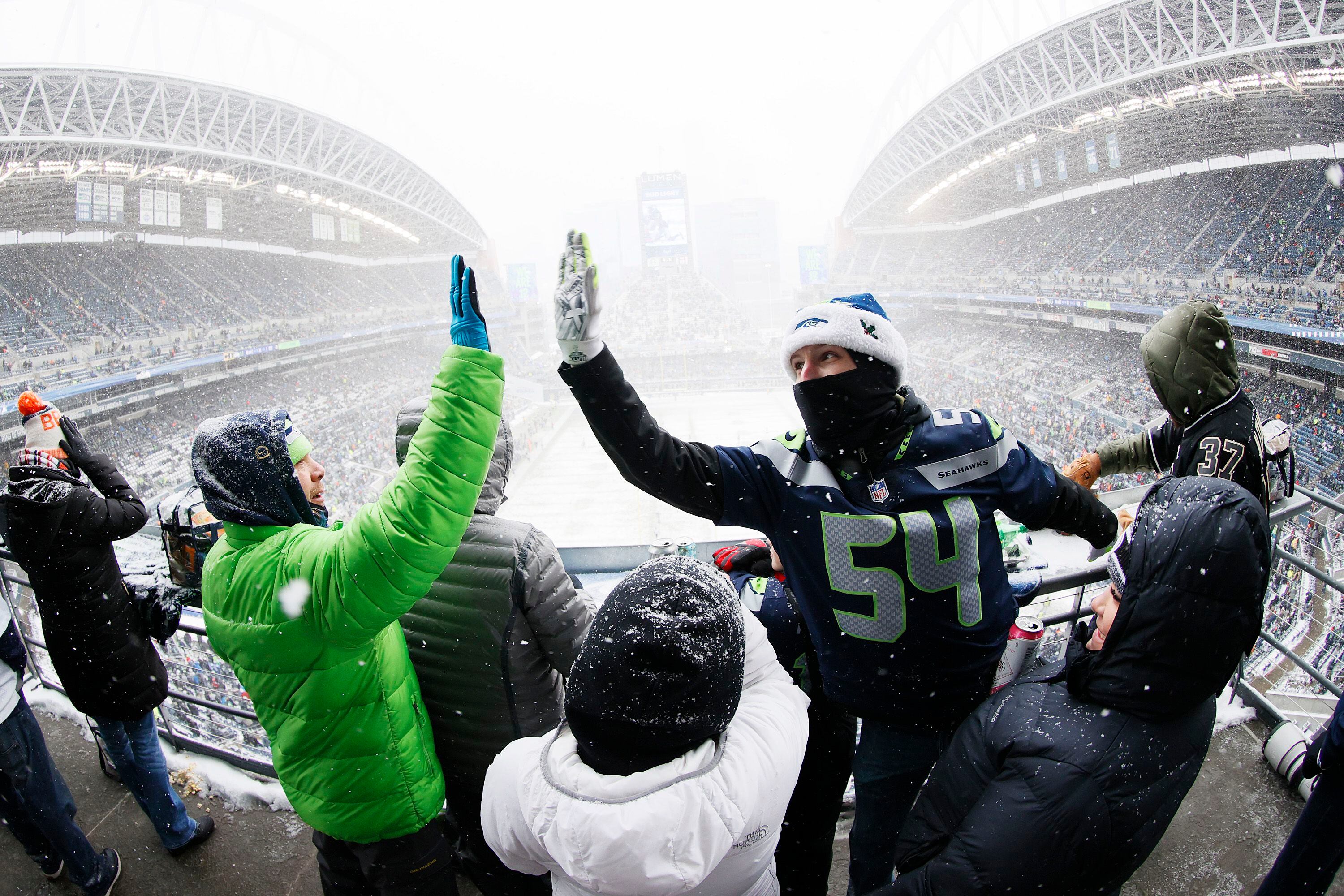 File:Seattle Seahawks vs Chicago Bears, 22 August 2014 IMG 4646  (15084952925).jpg - Wikimedia Commons