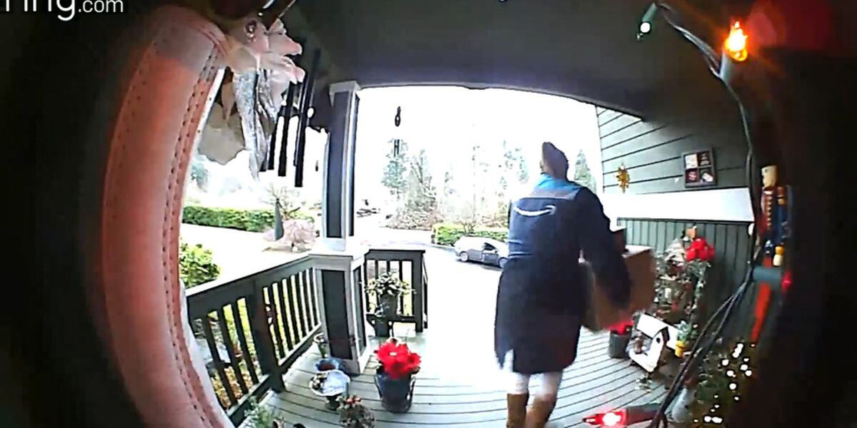 Caught On Camera: Woman Appears To Be Amazon Delivery Driver, Steals ...