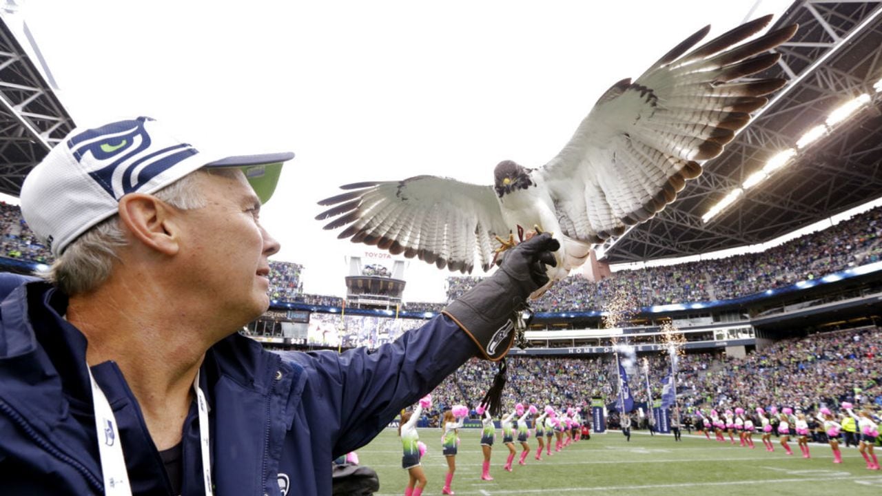 Seattle Seahawks' Live Hawk Taima Lands on Fan's Head During Game