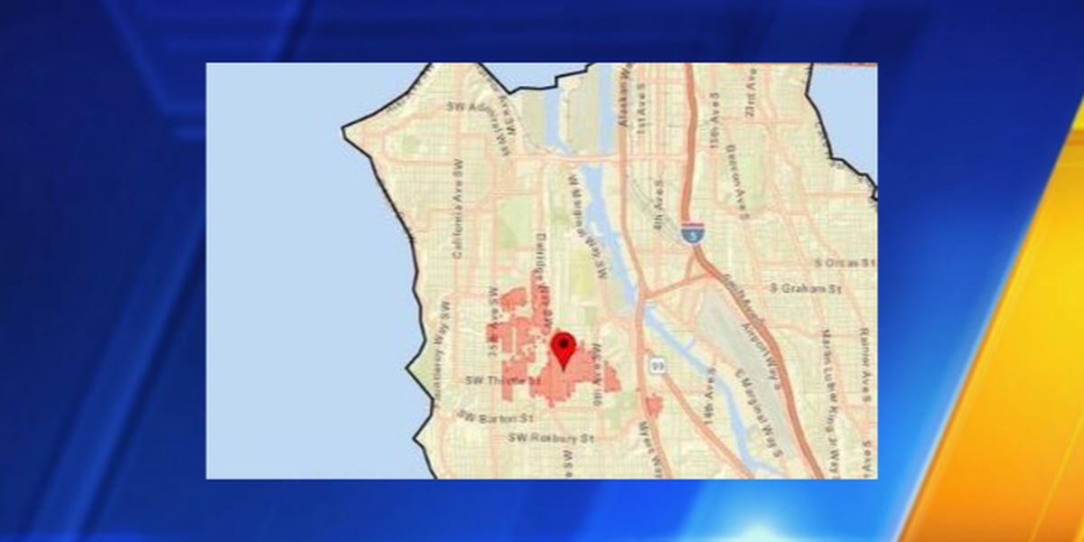 Seattle City Light Power Outage Map