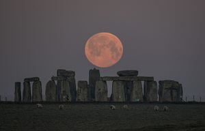 Moon still shines brightly for Seahawks