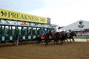 Triple Crown - An inside look at the Preakness Stakes, home of the best  tailgate in America - ESPN